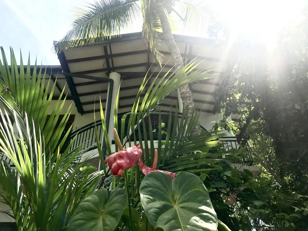 Mount Nature Villa Hikkaduwa Rom bilde